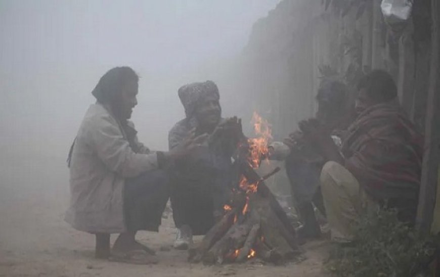 उत्तरपश्चिम भारत भीषण ठंड की चपेट में, 19 जनवरी से राहत के आसार