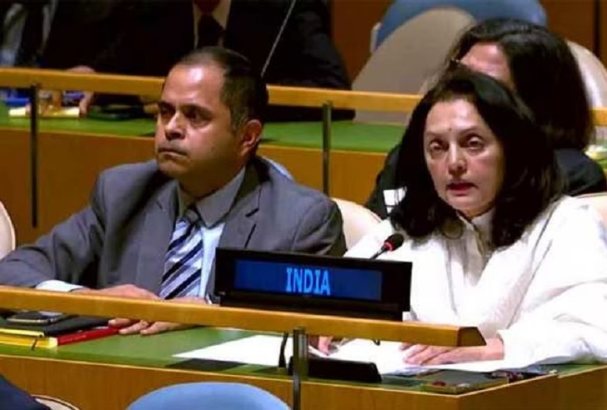 यूक्रेन संबंधी यूएनजीए सत्र में कश्मीर का मामला उठाने पर भारत ने की पाकिस्तान की आलोचना