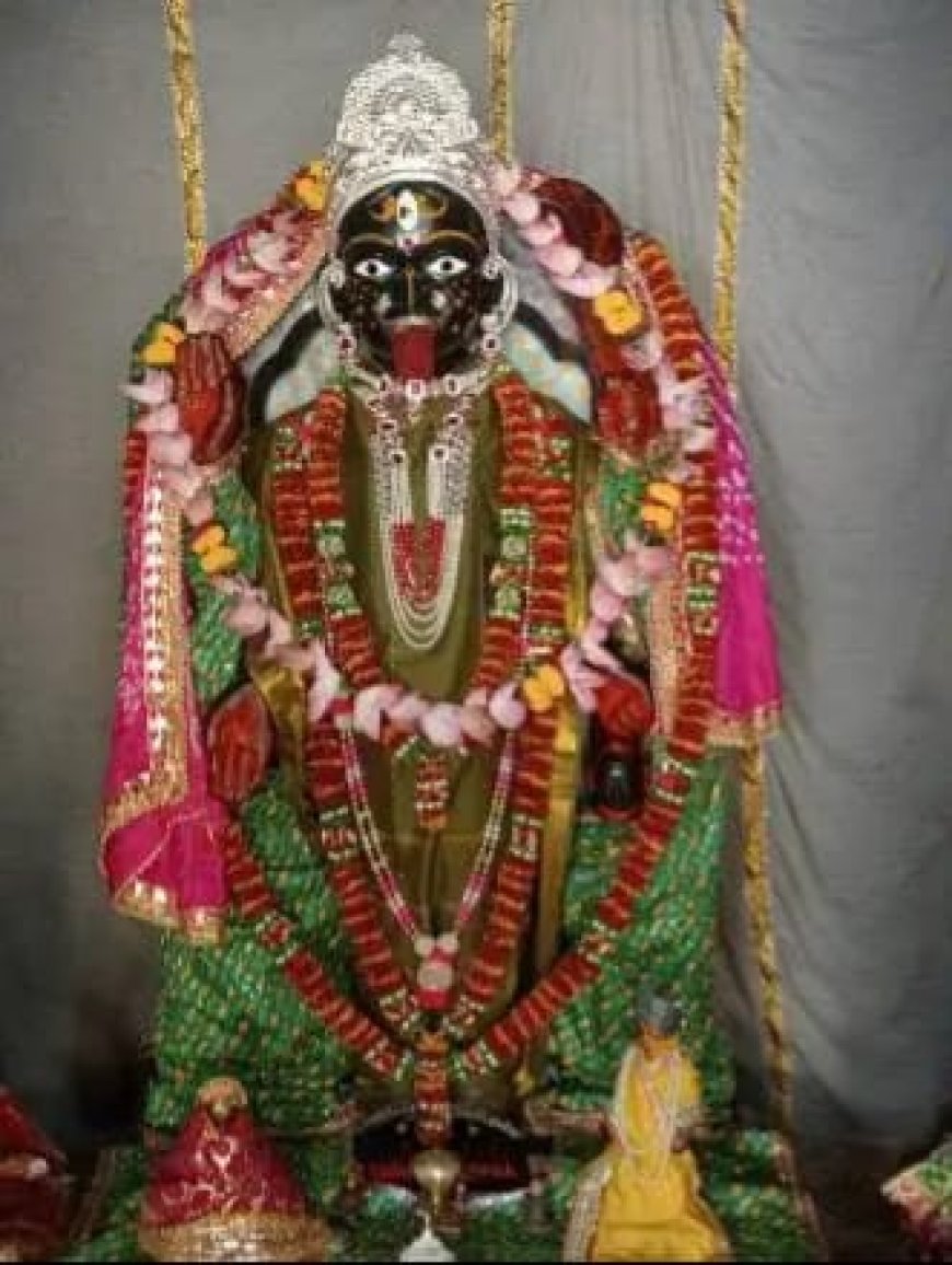 वृन्दावन की श्रीकृष्ण काली पीठ में चैत्र नवरात्रि महोत्सव की धूम