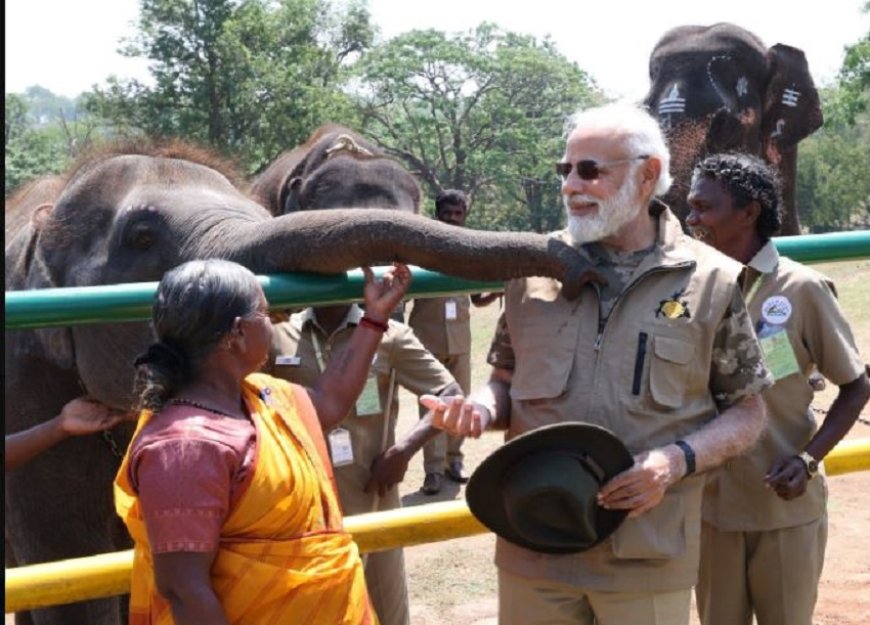 प्रधानमंत्री नरेन्द्र मोदी ने बांदीपुर बाघ अभयारण्य में जंगल ‘सफारी’ का लुफ्त उठाया