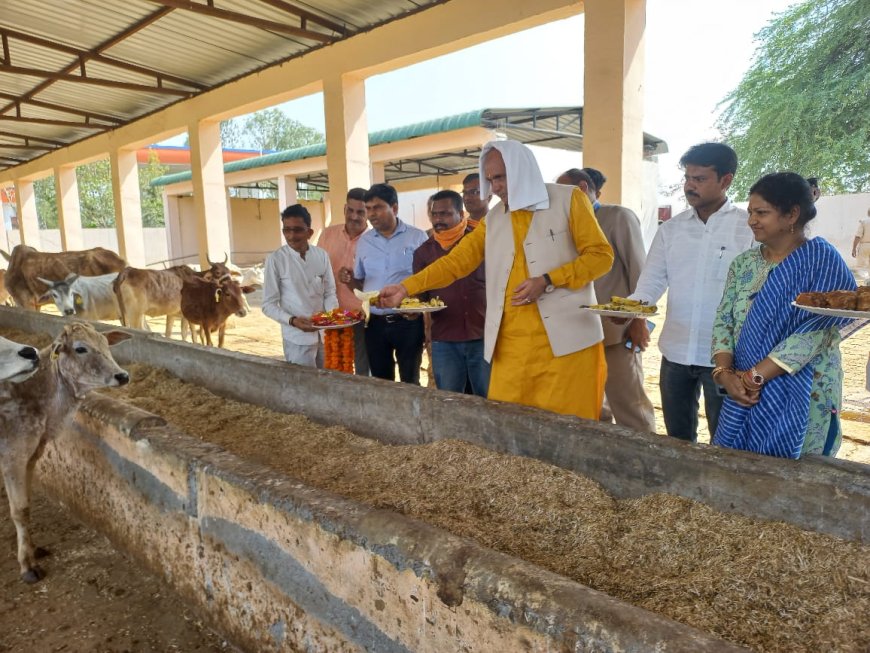 पशुधन मंत्री धर्म सिंह ने भरावन एवं बेनीगंज में गोशाला का किया निरीक्षण