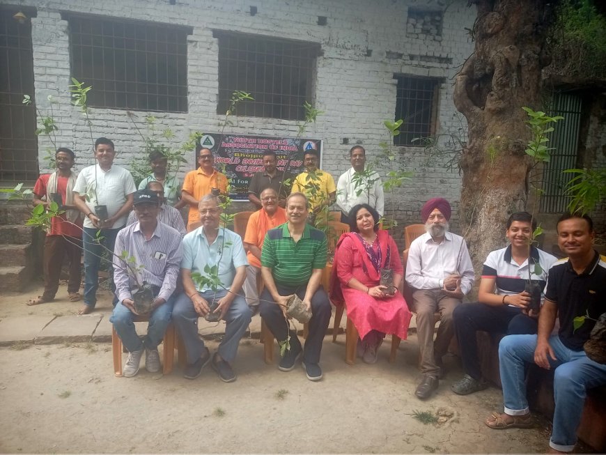 SEEDBLINGS PLANTED TO MARK WORLD ENVIRONMENT DAY