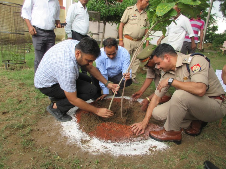 जिलाधिकारी की अध्यक्षता में तहसील जलालाबाद में संपूर्ण समाधान दिवस संपन्न