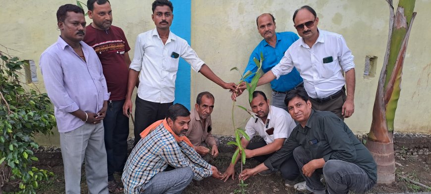 हिंदी दिवस पर हरदोई पत्रकार एसोसिएशन ने किया वृक्षारोपण