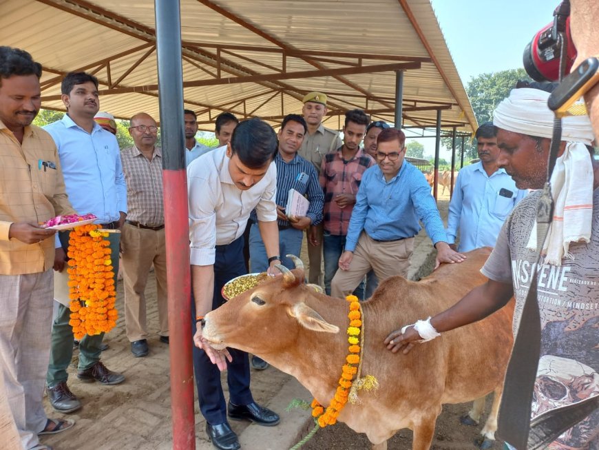 बावन स्थित गौशाला का डीएम ने किया निरीक्षण