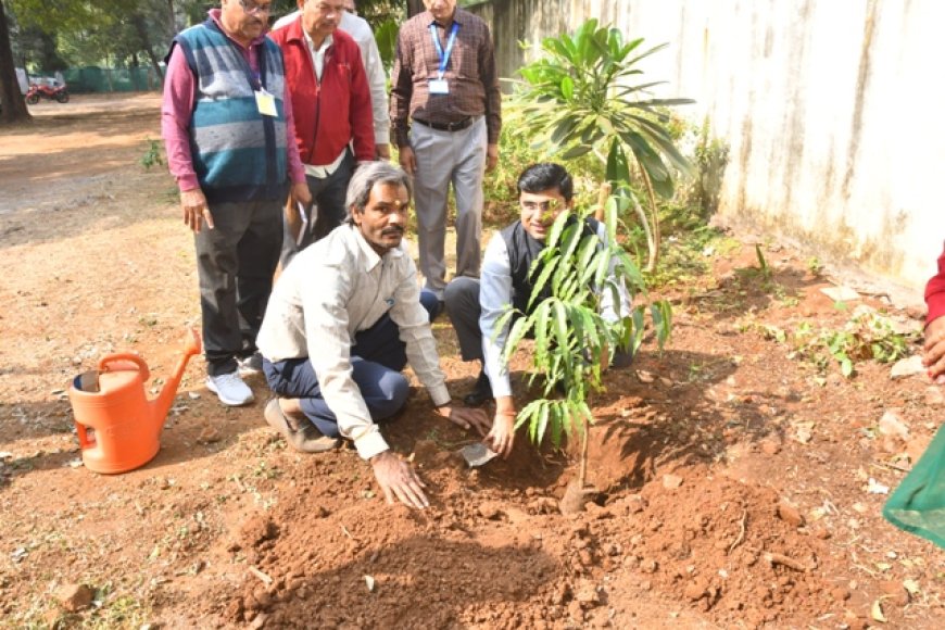 कलेक्‍टर द्वारा किया मतदान उपस्थित मतदाताओं को तुलसी का पौधा भेंटकर किया पौधरोपण