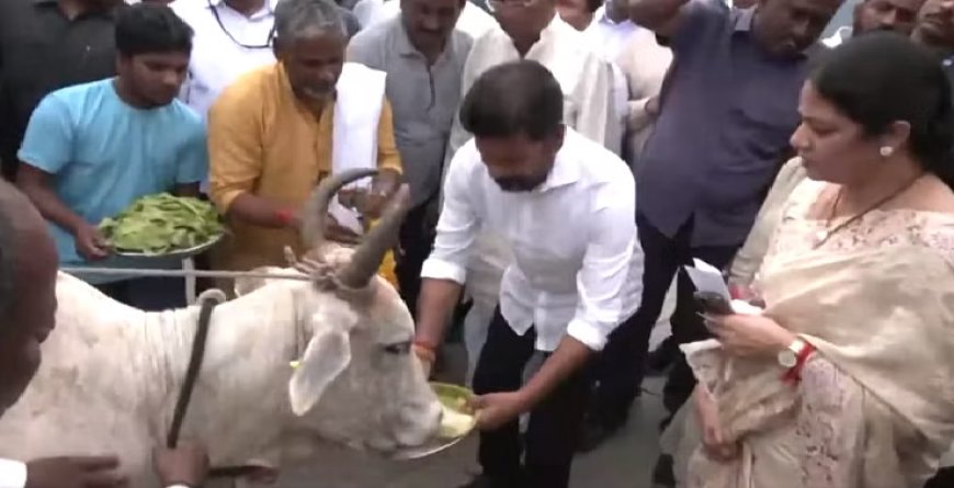 वोटिंग से पहले कांग्रेस प्रदेशाध्यक्ष ने की गाय की पूजा, बोले-हमारे 85 विधायक