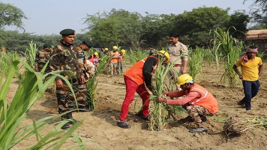 800 करोड़ से मॉडल बनेंगे शहरीकृत गांव, उपराज्यपाल ने जौंती गांव से शुरू की मुहिम