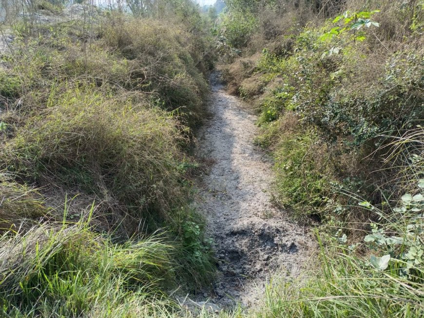 बालामऊ माइनर की विधिवत सफाई न होने से एक दशक से टेल तक नहीं पहुंचा पानी, किसानों कैसे होगी आय दोगुनी