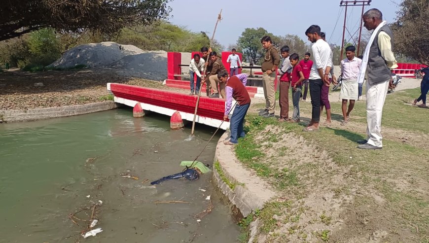 शारदा नहर के रेगुलेटर में अज्ञात युवक का फंसा मिला शव, ग्रामीणों ने दी पुलिस को सूचना