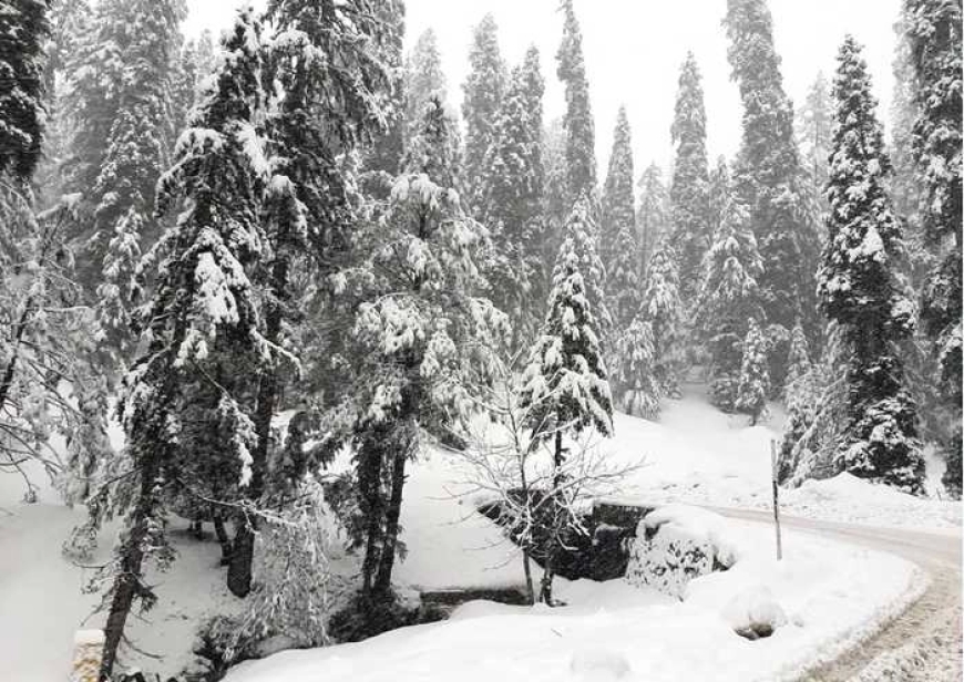 हिमालय में आज से शुरू होगा बारिश और बर्फबारी का नया दौर, जम्मू-कश्मीर से उत्तराखंड तक बदलेगा मौसम
