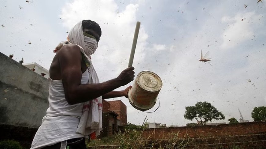 किसानों के लिए खुशखबरी वाला सर्वे, बेफिक्र होकर बोएं खरीफ की फसल