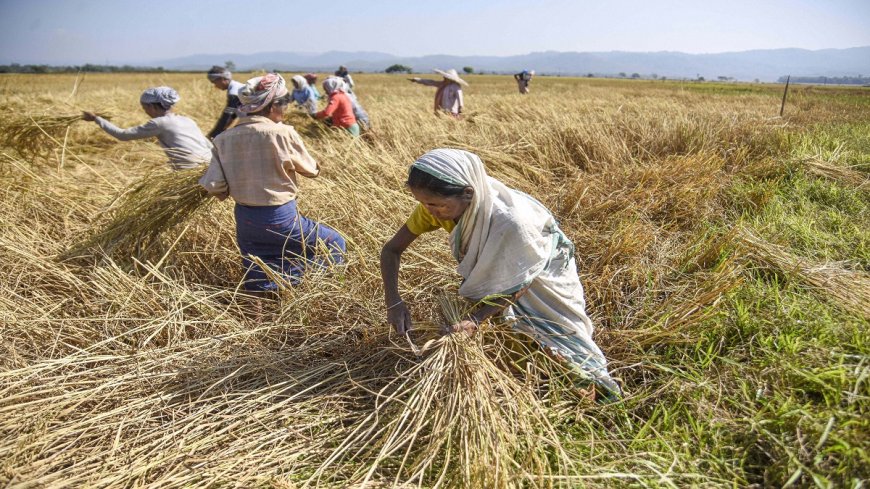 FARMER COMMITS SUICIDE IN BHOJPUR VILLAGE