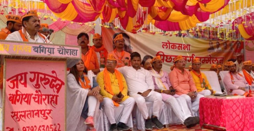 सुलतानपुर: भाजपा ओबीसी मोर्चा का सम्मेलन बगिया गांव में हुआ आयोजित