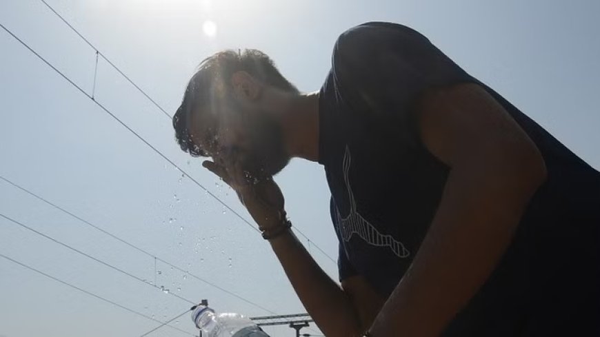 पंजाब में जानलेवा हुई गर्मी, 48.3 डिग्री पारे में झुलसे लोग