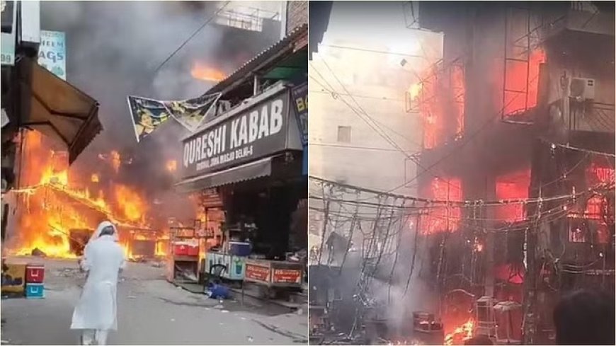 शाहीन बाग इलाके में लगी भीषण आग, दो मशहूर रेस्टोरेंट जलकर खाक