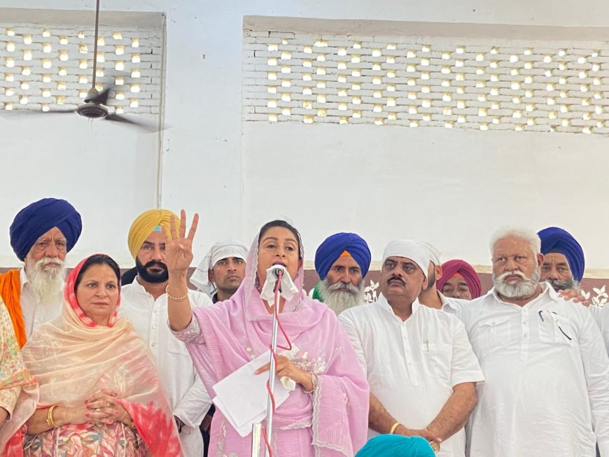CM Bhagwant Mann has lost all moral right to continue in office - Harsimrat K Badal