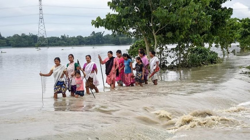 असम: बाढ़ की चपेट में 3.9 लाख से अधिक लोग, 19 जिले प्रभावित