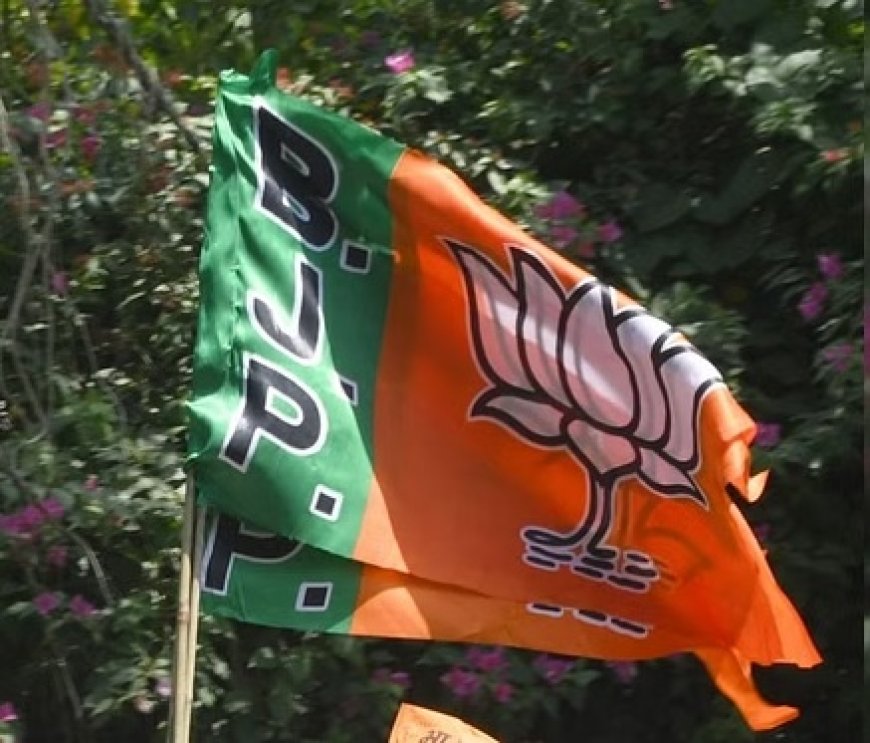 महाराष्ट्र विधान परिषद चुनाव के लिए भाजपा ने किया उम्मीदवारों का एलान