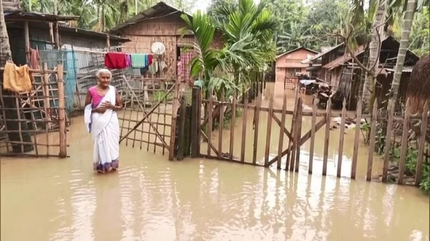 असम: बाढ़ से असम में हालात बिगड़े, 22 लाख लोग प्रभावित, 77 जंगली जानवरों की मौत