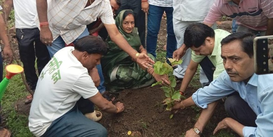 "एक पेड़ मां के नाम" अभियान के तहत जिले में बडे स्‍तर पर किया जा रहा है पौधरोपण