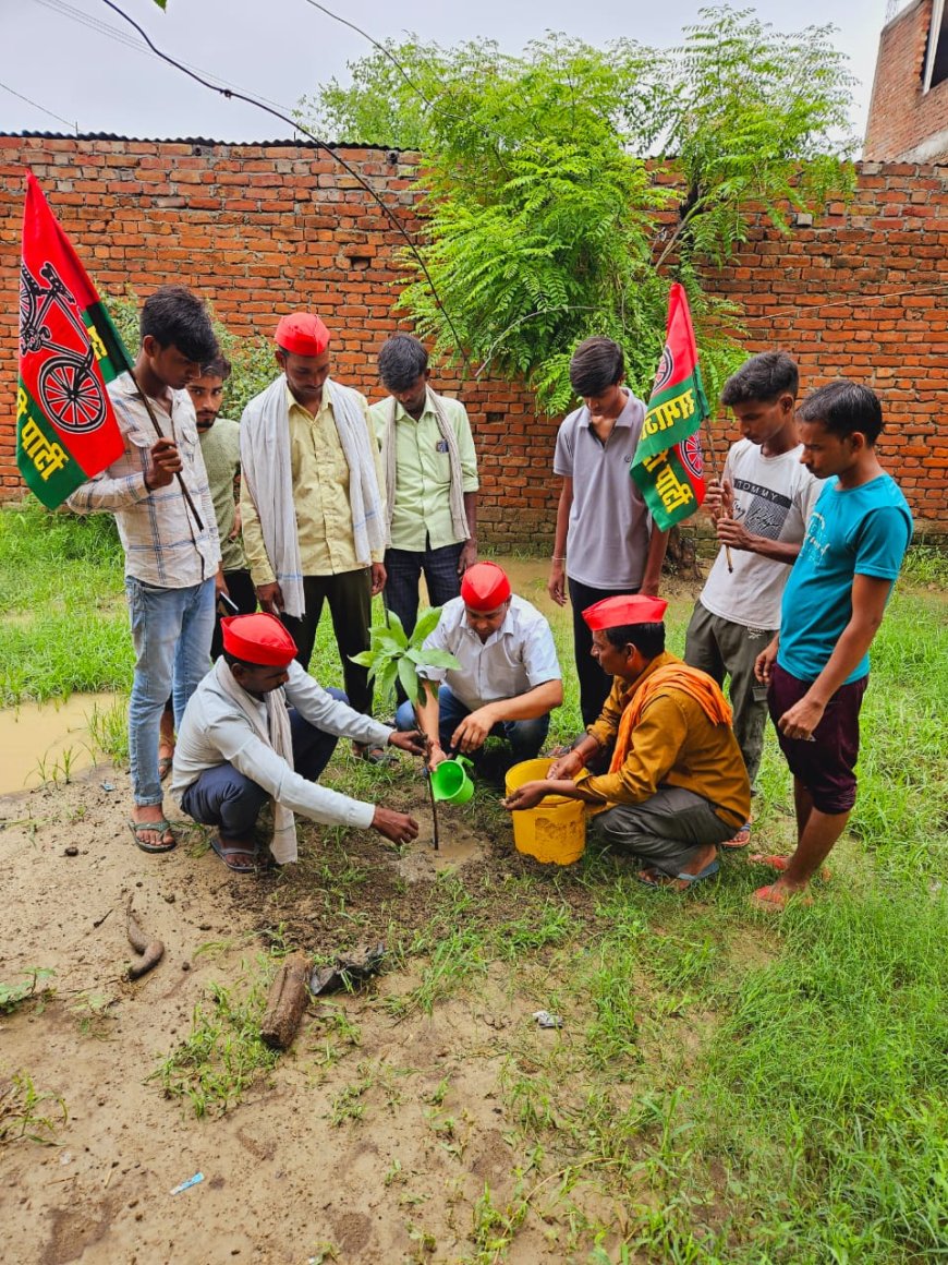 सपा चला रही है पीडीए पेड़ रोपण कार्यक्रम