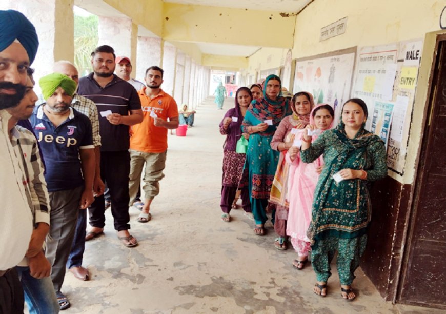 पांच बजे तक नालागढ़ में सबसे अधिक 75.22 फीसदी मतदान