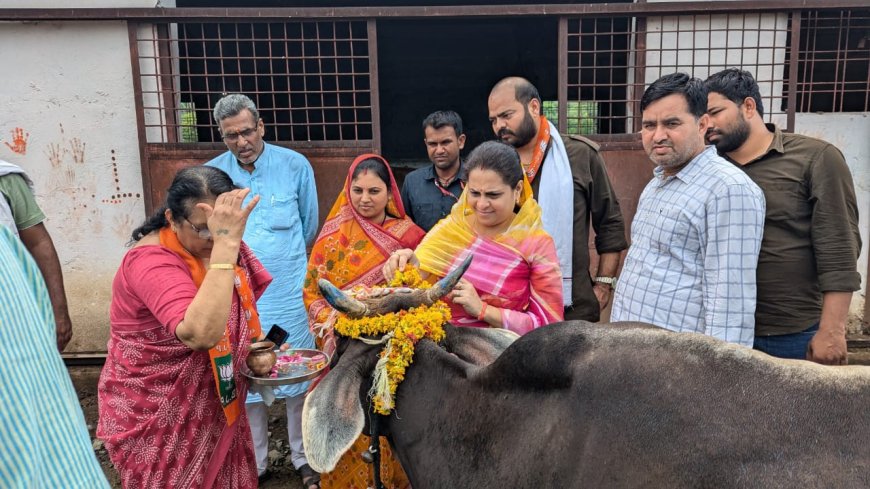 चीतोड़ा की गोशाला में विधायक प्रियंका पैंची ने किया पौधारोपण, पर्यावरण संरक्षण का दिया संदेश