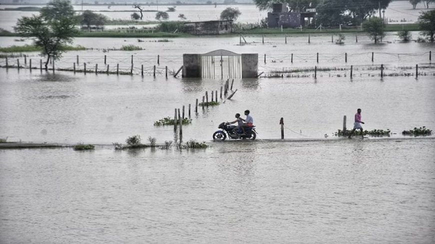 यूपी में 20 जिलों के 900 गांव बाढ़ की चपेट में, सीएम योगी बोले- पीड़ितों को 24 घंटे में दें मुआवजा