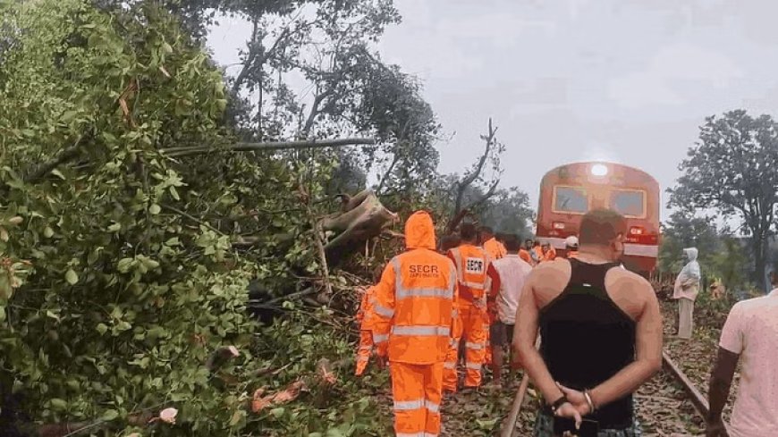 पटरी पर गिरा विशालकाय पेड़, पैसेंजर ट्रेन हुई हादसे का शिकार; लोको पायलट हुआ घायल