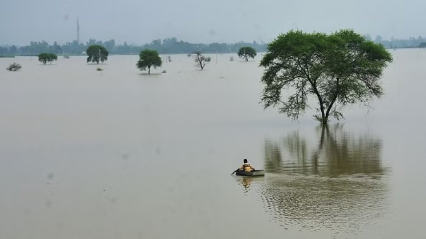 बाढ़ प्रभावित क्षेत्रों में टेलीमेट्री सिस्टम लगाने में हुई देरी, संसदीय समिति ने जताई चिंता