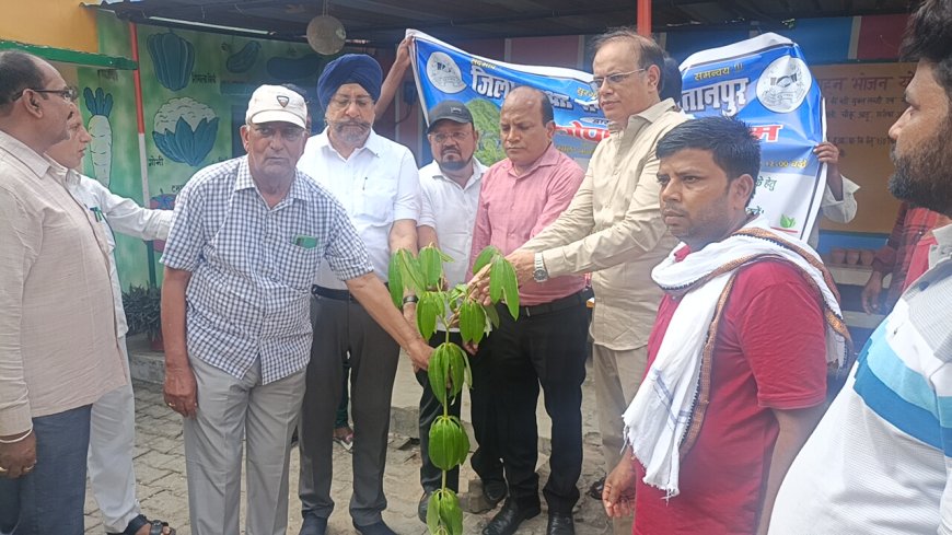 सुलतानपुर: जिला सुरक्षा संगठन शाखा कादीपुर के तत्वावधान में वृक्षारोपण कार्यक्रम आयोजित