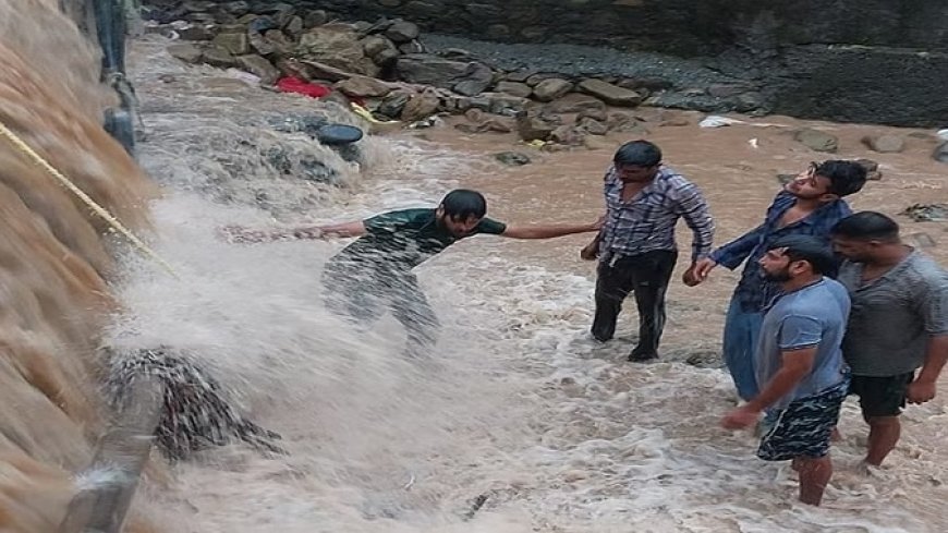 बारिश के बाद तबाही का मंजर: नदी-नाले उफान पर...45 घरों में घुसा गंदा पानी, बच्चे समेत चार बहे