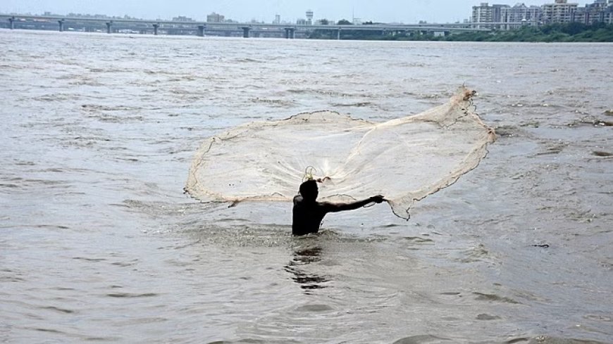 अरब सागर में मछली पकड़ने पर प्रतिबंध 15 अगस्त तक बढ़ा, कांग्रेस ने सरकार पर साधा निशाना