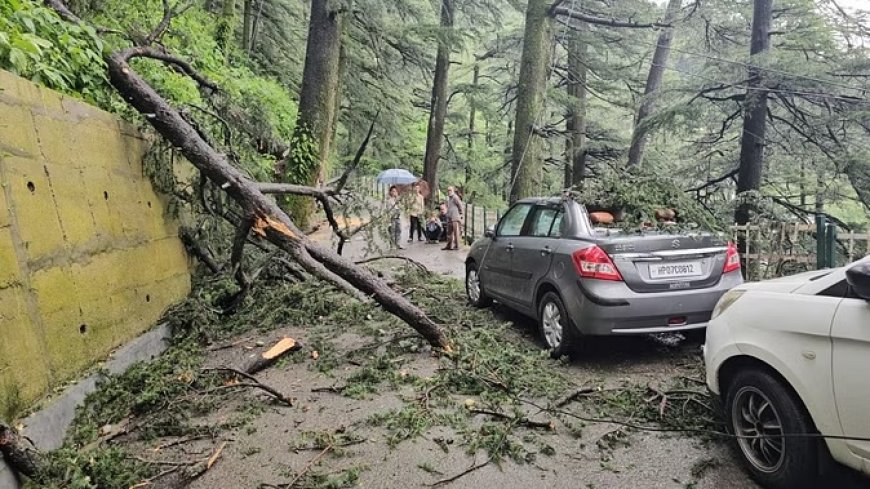 हिमाचल प्रदेश: अलर्ट के बीच कई भागों में भारी बारिश, करसोग में एक दिन की छुट्टी