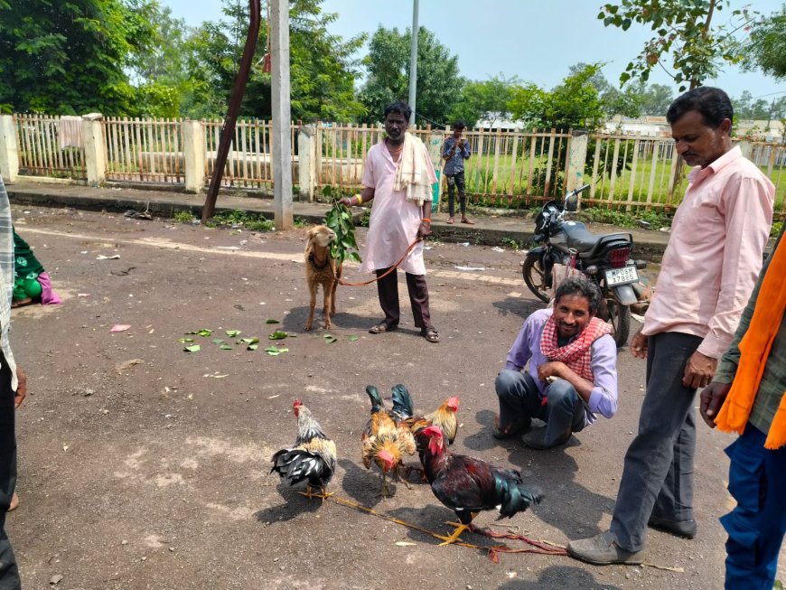 गुना: खुले में मांस विक्रय पर रोक के बावजूद व्यापार जारी, आवारा कुत्तों से दुर्घटनाओं का बढ़ता खतरा