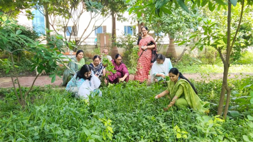 कलेक्‍ट्रेट परिसर में चलाया गया सफाई अभियान, परिसर की करायी गई साफ-सफाई