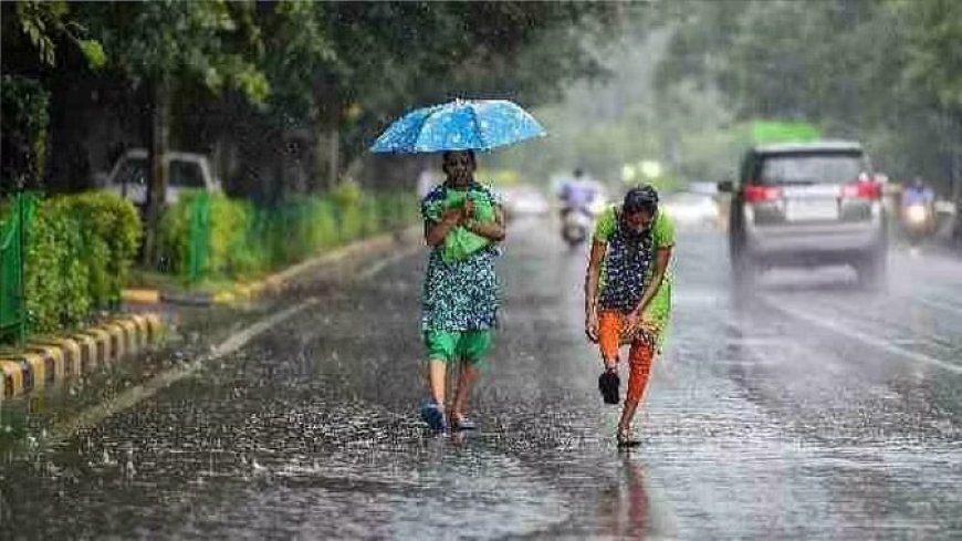 छत्तीसगढ़ में मानसून मेहरबान; कल शाम से हो रही झमाझम बारिश, 11 जिलों में रेड अलर्ट जारी