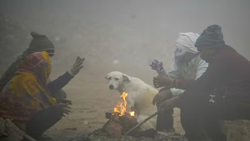 भीषण गर्मी के बाद इस साल पड़ सकती है कड़ाके की ठंड