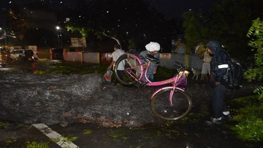 बारिश में इस कदर जलमग्न हुईं आगरा की सड़कें, दो युवकों को नहीं दिखा नाला...