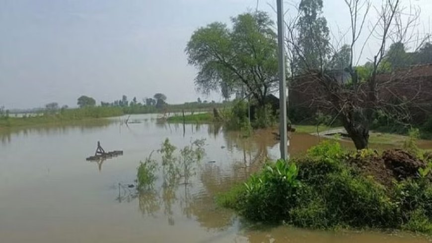 बिहार के 12 जिलों में बाढ़ से मची तबाही, हिमाचल प्रदेश में गर्मी के साथ उमस बढ़ी