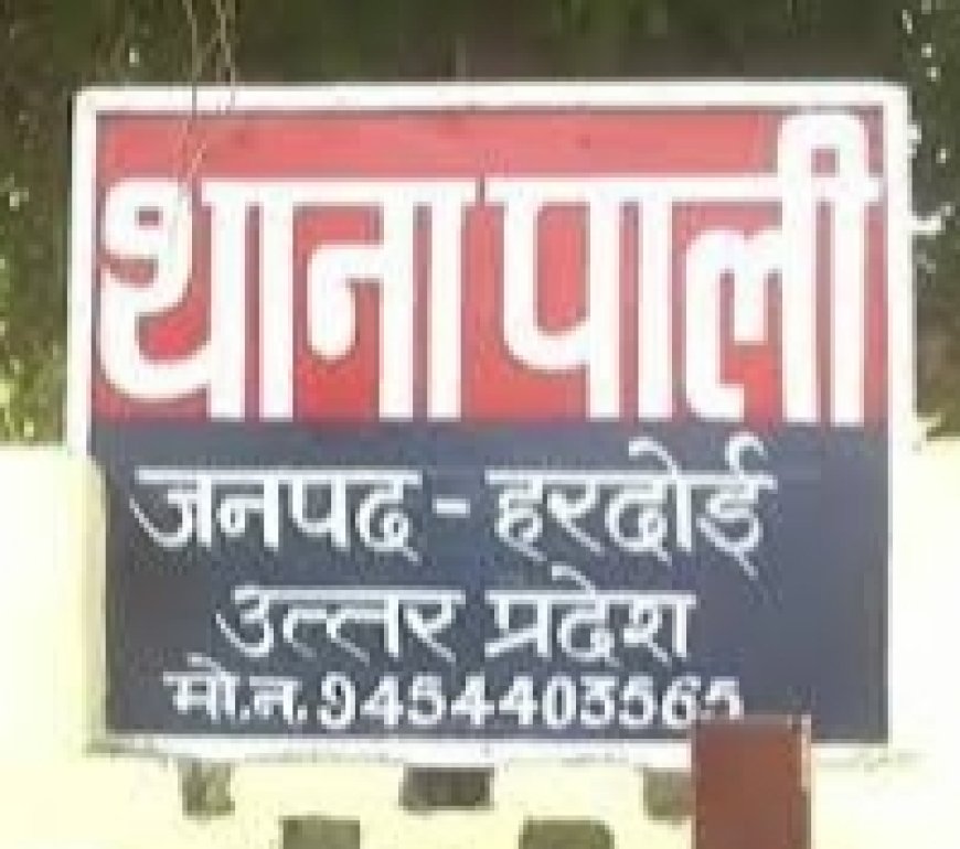 पाली कस्बा में पैसे का लालच देकर 14 बर्षीय किशोर से किया दुष्कर्म, पुलिस ने मुकदमा दर्ज कर शुरू की जांच 