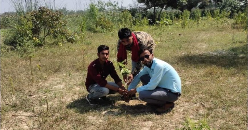 बाबा की जयंती पर पोता ने किया पौधरोपण 