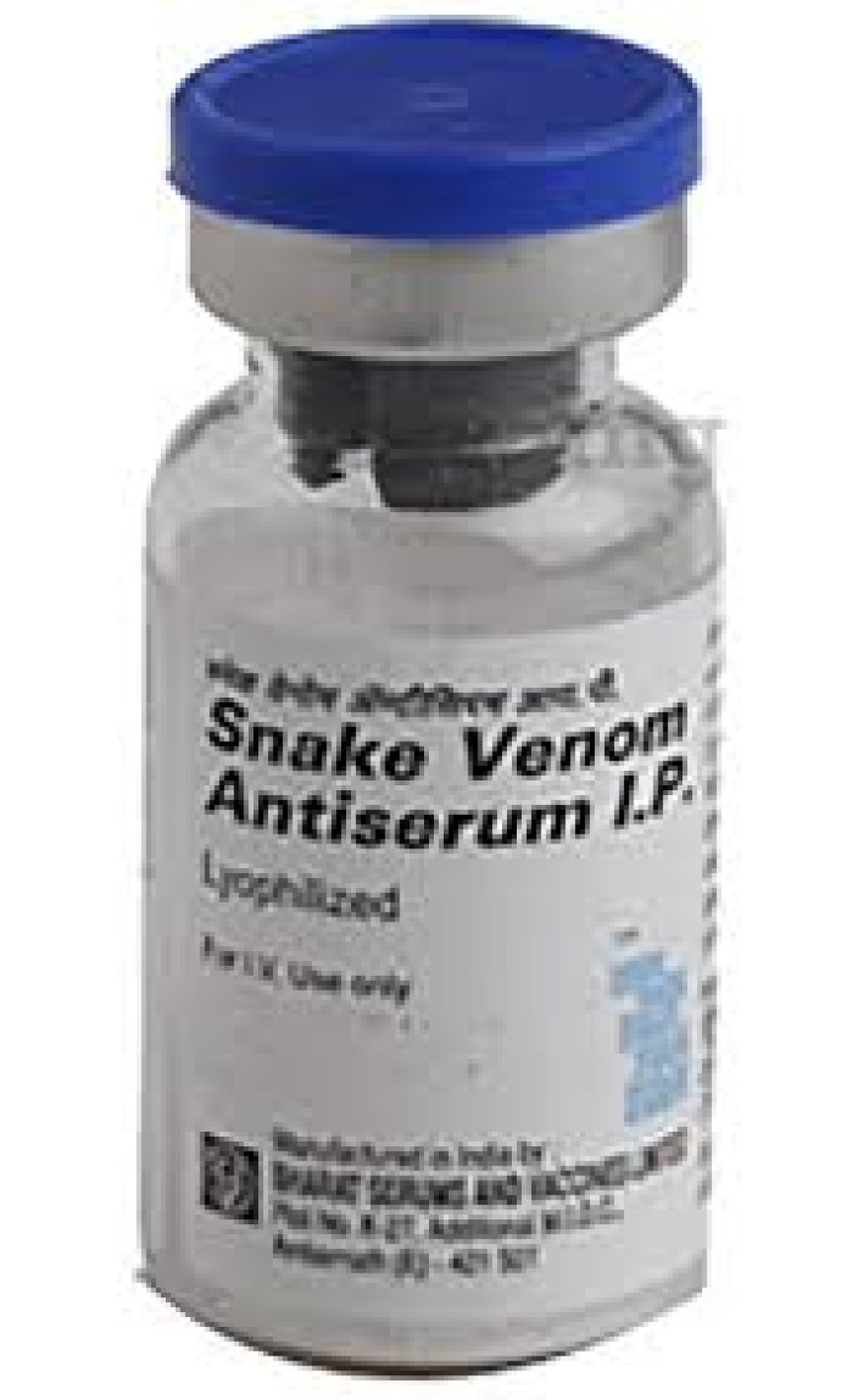 जिला पशु चिकित्सालय/राजकीय पशु चिकित्सालय कछौना में नहीं एंटी स्नेक वेनम इंजेक्शन, सर्पदंश से कैसे बचें पशुओं की जान