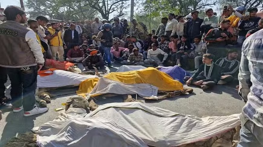 गोशाला संचालकों के लिए जारी हुआ नया आदेश, अब मृत गायों का भी रखना होगा रिकाॅर्ड