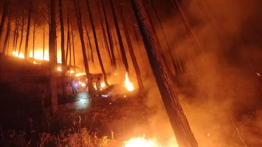 लॉस एंजिलिस में आग का भयावह रूप, अब उत्तरी जंगल पर मंडराया संकट; 50000 लोगों को बाहर निकालने के आदेश