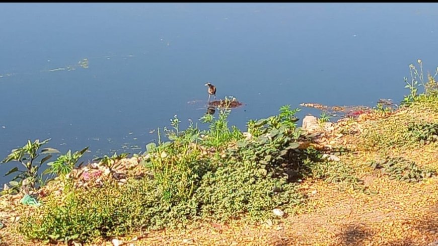 भुजरिया तालाब पर जल गोष्ठी संपन्न, शहर के जल चिंतकों ने जल संरक्षण पर श्वेत प्रस्ताव पारित किया